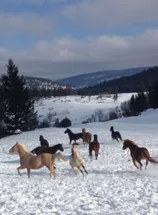 Montana Hill Guest Ranch