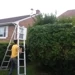 RnS Landscaping Ltd.