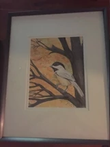 Chickadee chilling on a branch 