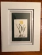 Framed Yellow Flower