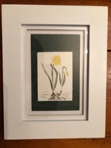 Framed Yellow Flower