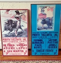 Bull Fight Framed Posters