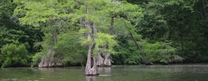 Jolly's Mill Pond