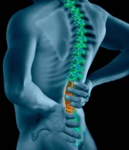Capital Chiropractic Gift Cert