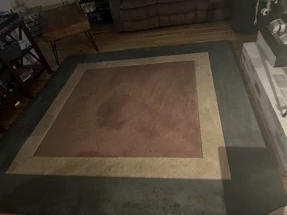 Area Rug