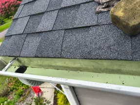 Elite Exteriors