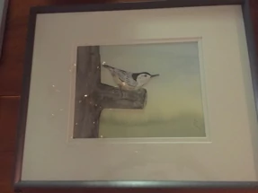 Chickadee Ready to Fly