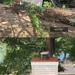 Roof Artistry