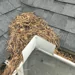 Elite Exteriors