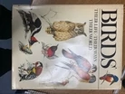 Birds Their life, Their Ways, Th