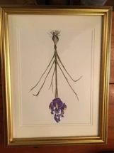 8" x 10" Original Watercolor Painting