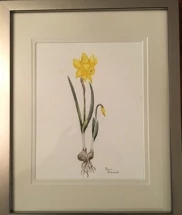 8" x 10" Original Watercolor Painting
