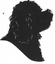 Silhouettes