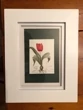 Rooted Rose
