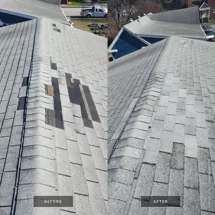 Roof Artistry