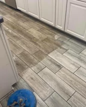 Monster Clean