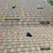 Roof Artistry