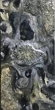 Gallerie Ukwensi - Ode to Tim B