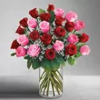 Shore Drive Florist Gift Card