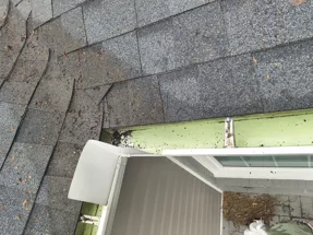 Elite Exteriors