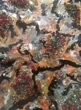 Gallerie Ukwensi "Land Mass and 