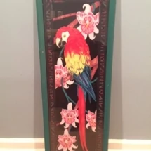 "Paradise Parrot" Framed