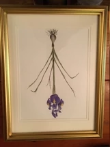 16" x 20" Original Watercolor Painting