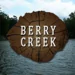 Berry Creek Cabins