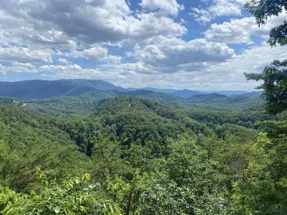 Tanner Manor - Footprints in the Sand - Gulf Shores, Alabama