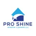 Pro Shine Window Cleaning