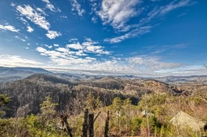 Tanner Manor - The Loft - Pigeon Forge, Tennessee