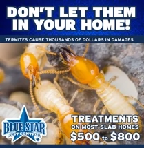 Blue Star Pest Control MAIN