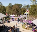 ABITA FALL FEST GA
