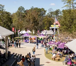 ABITA FALL FEST GA