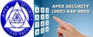 APEX Security, Inc.