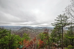 Tanner Manor - Kissing the Clouds - Pigeon Forge, Tennessee