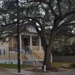 1907 Victorian Beauty with 2 Bedrooms