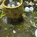 5 Fat Columns & A Fish Pond We Love NOLA Travel