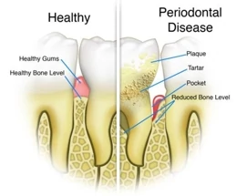 Exceptional Dental / MID-CITY