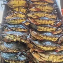 Alphonso Seafood 