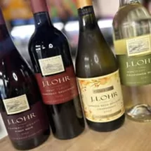 Stained Glass Winehouse