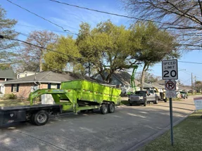 Premier Tree Service