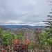 Tanner Manor - Kissing the Clouds - Pigeon Forge, Tennessee