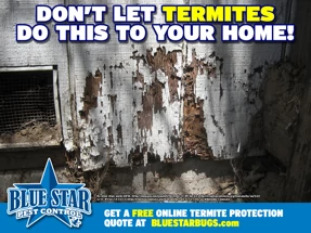 Blue Star Pest Control MAIN