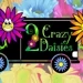 2 Crazy Daisies Flower Shop