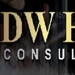 DWH Consulting