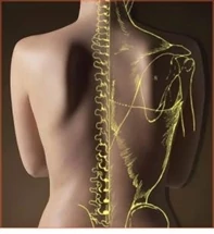 Louisiana Chiropractic Center, LLC