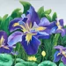 Lori Anselmo Art
