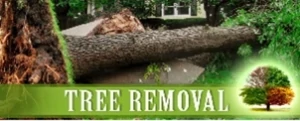 Nasello's Tree Service