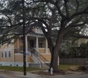 1907 Victorian Beauty with 2 Bedrooms